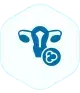 Ovarian Cancer