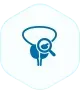 Prostate Cancer